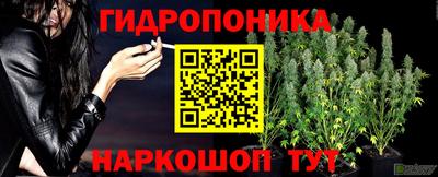 Альфа ПВП Гусиноозёрск