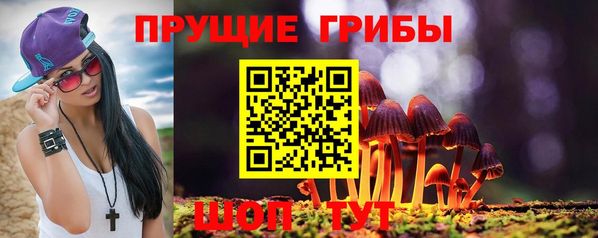 Псилоцибиновые грибы Cubensis  Галлюциногенные грибы Psilocybe  где продают наркотики  Новосибирск  Вход с VPN 