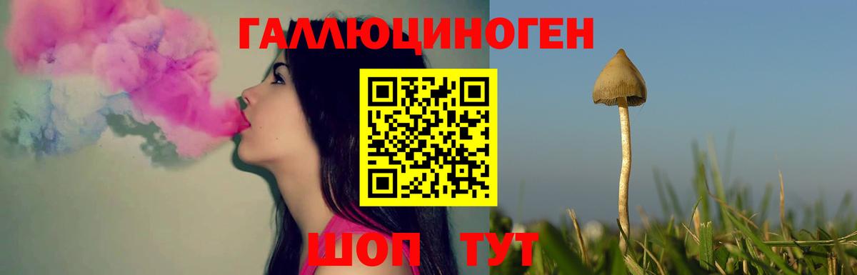 Псилоцибиновые грибы ЛСД Новосибирск